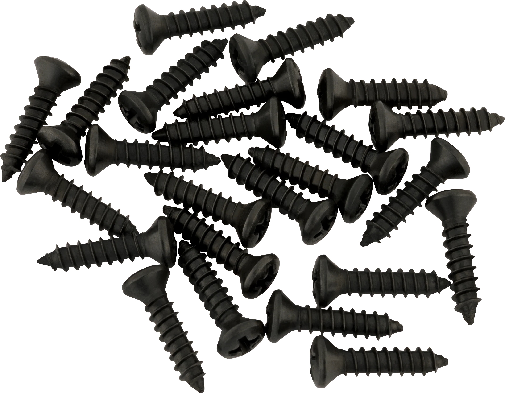 Pickguard - Control Plate Mounting Screws (24) - Image 3